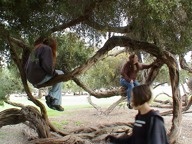 DSC00043.JPG