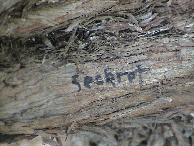 DSC00045.JPG