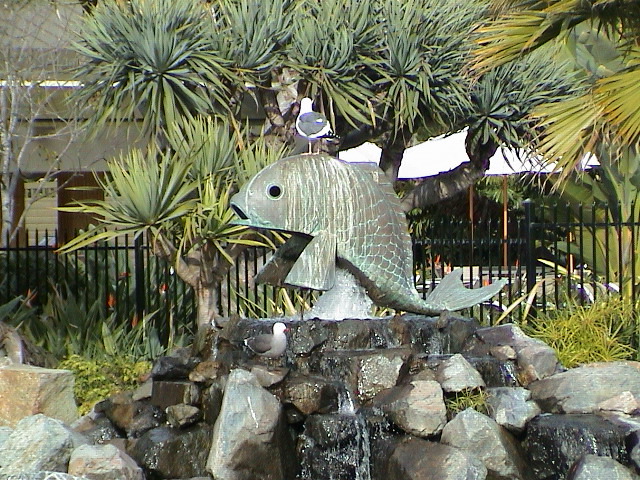 DSC00047.JPG