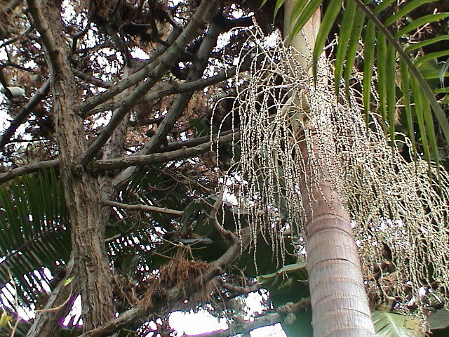 DSC00049.JPG