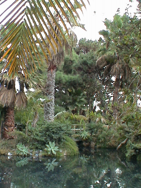 DSC00050.JPG