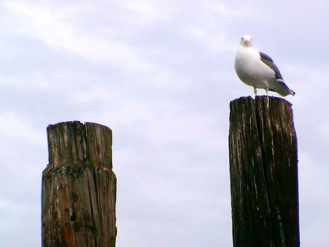 DSC00053.JPG