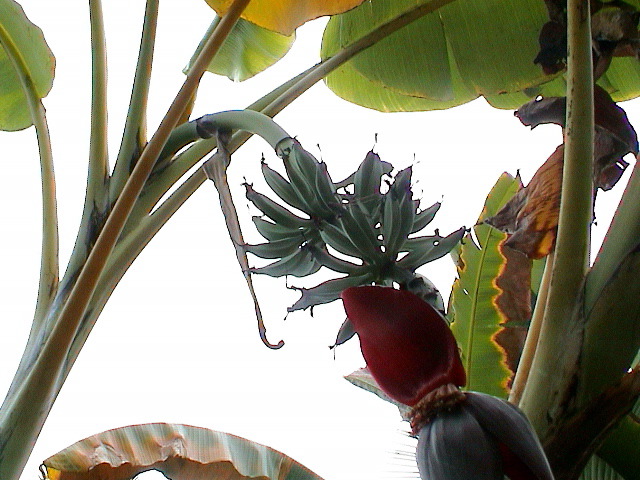 DSC00054.JPG