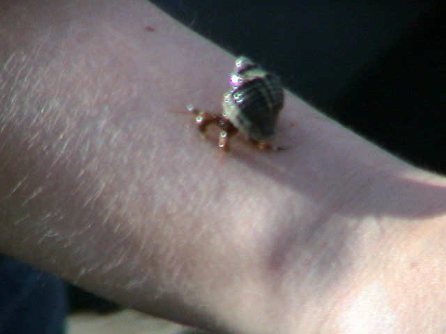 DSC00062.JPG