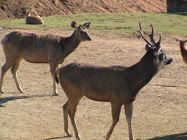 DSC00075.JPG