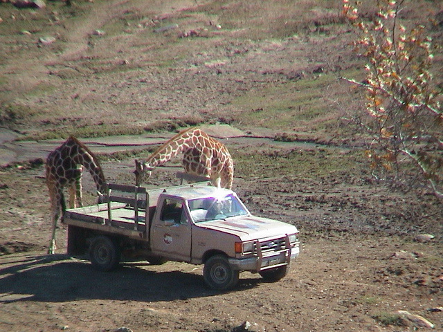 DSC00080.JPG