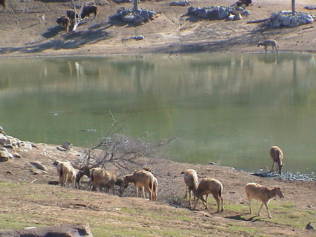 DSC00081.JPG