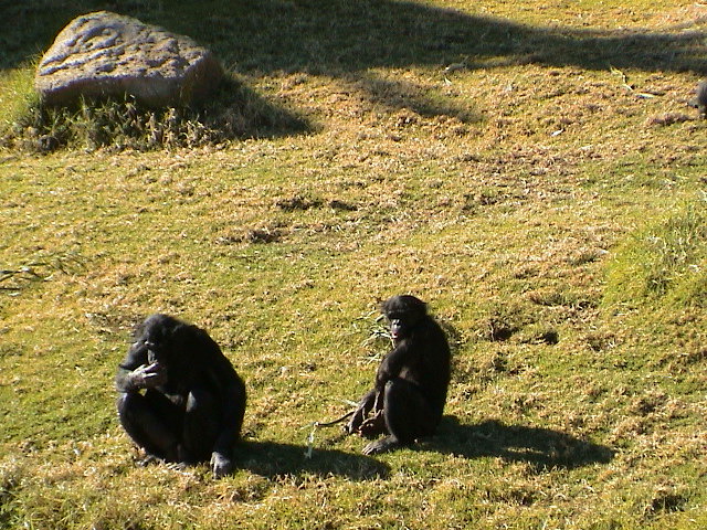 DSC00082.JPG