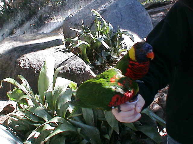 DSC00084.JPG