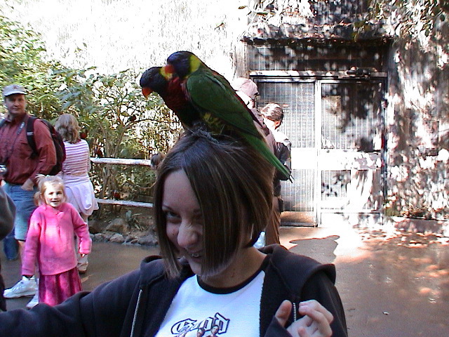 DSC00088.JPG