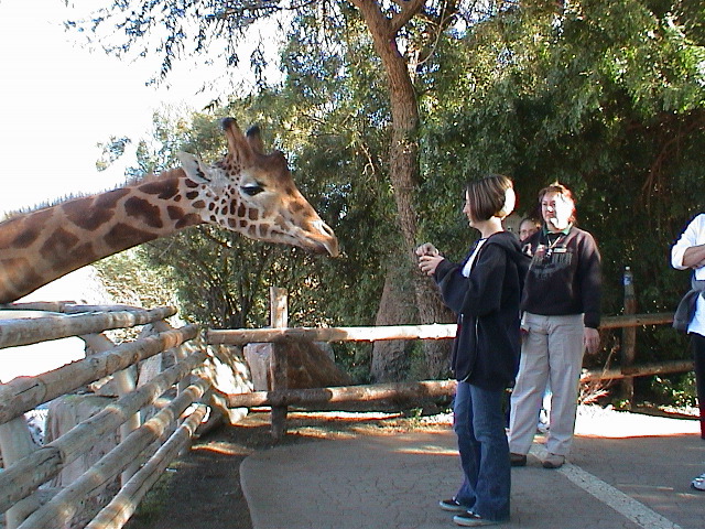 DSC00092.JPG