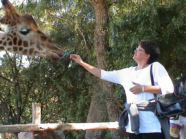 DSC00094.JPG