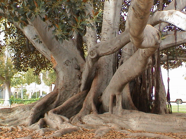 DSC00108.JPG