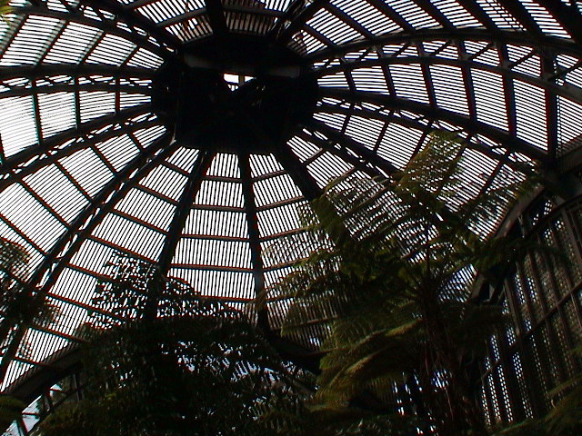 DSC00113.JPG