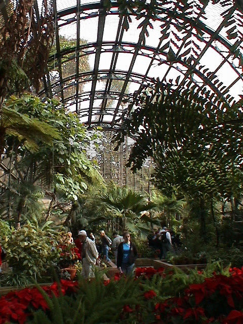 DSC00114.JPG