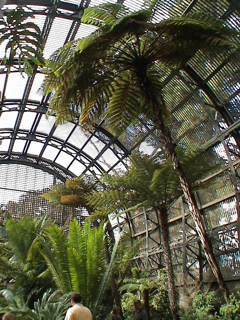 DSC00115.JPG