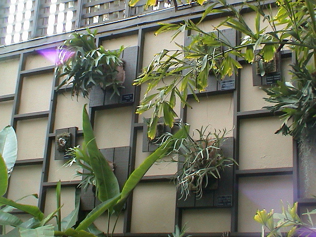DSC00116.JPG