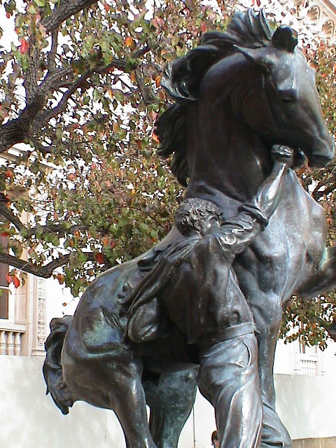DSC00118.JPG