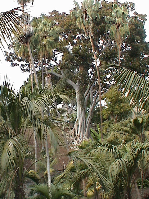DSC00123.JPG