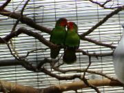 DSC00038.JPG