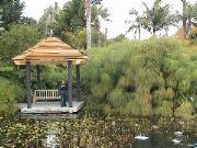 DSC00051.JPG