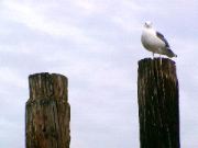 DSC00053.JPG