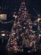DSC00064.JPG