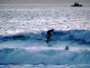 DSC00074.JPG