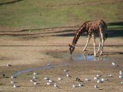 DSC00079.JPG