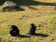 DSC00082.JPG