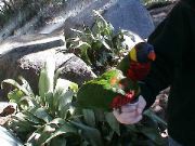 DSC00084.JPG