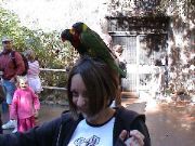 DSC00088.JPG