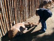 DSC00090.JPG