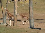 DSC00096.JPG