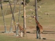 DSC00097.JPG