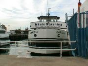 DSC00099.JPG