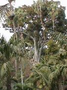 DSC00123.JPG