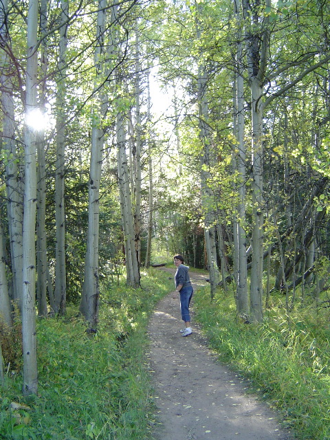 Lovely Path