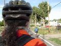 Janis's View