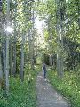Lovely Path