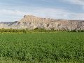 Mt Garfield