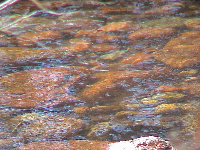 DSC00071.JPG