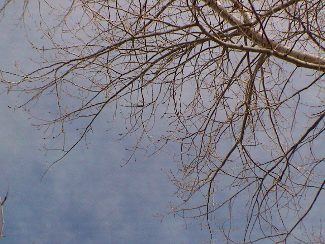 DSC00072.JPG