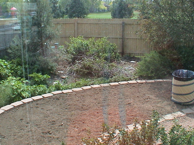 DSC00066.JPG