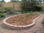 DSC00102.JPG