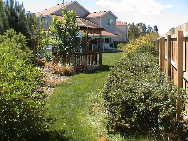 DSC00107.JPG