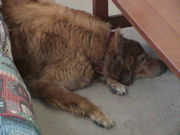 DSC00117.JPG