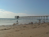 DSC00393.JPG