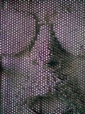 DSC00417.JPG