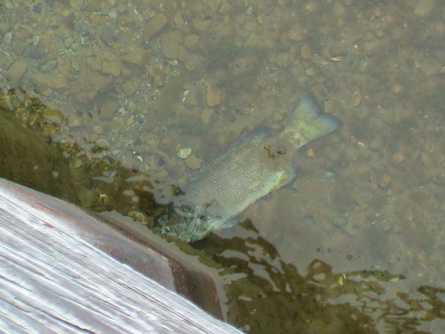 DSC00013.JPG
